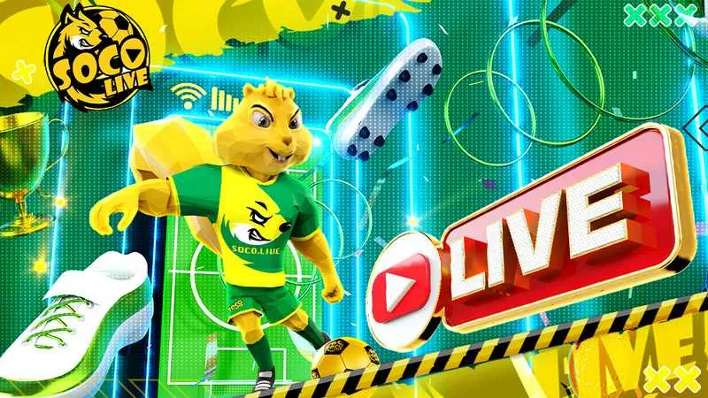 Quy định bản quyền đối với người xem Quy định bản quyền đối với người xem